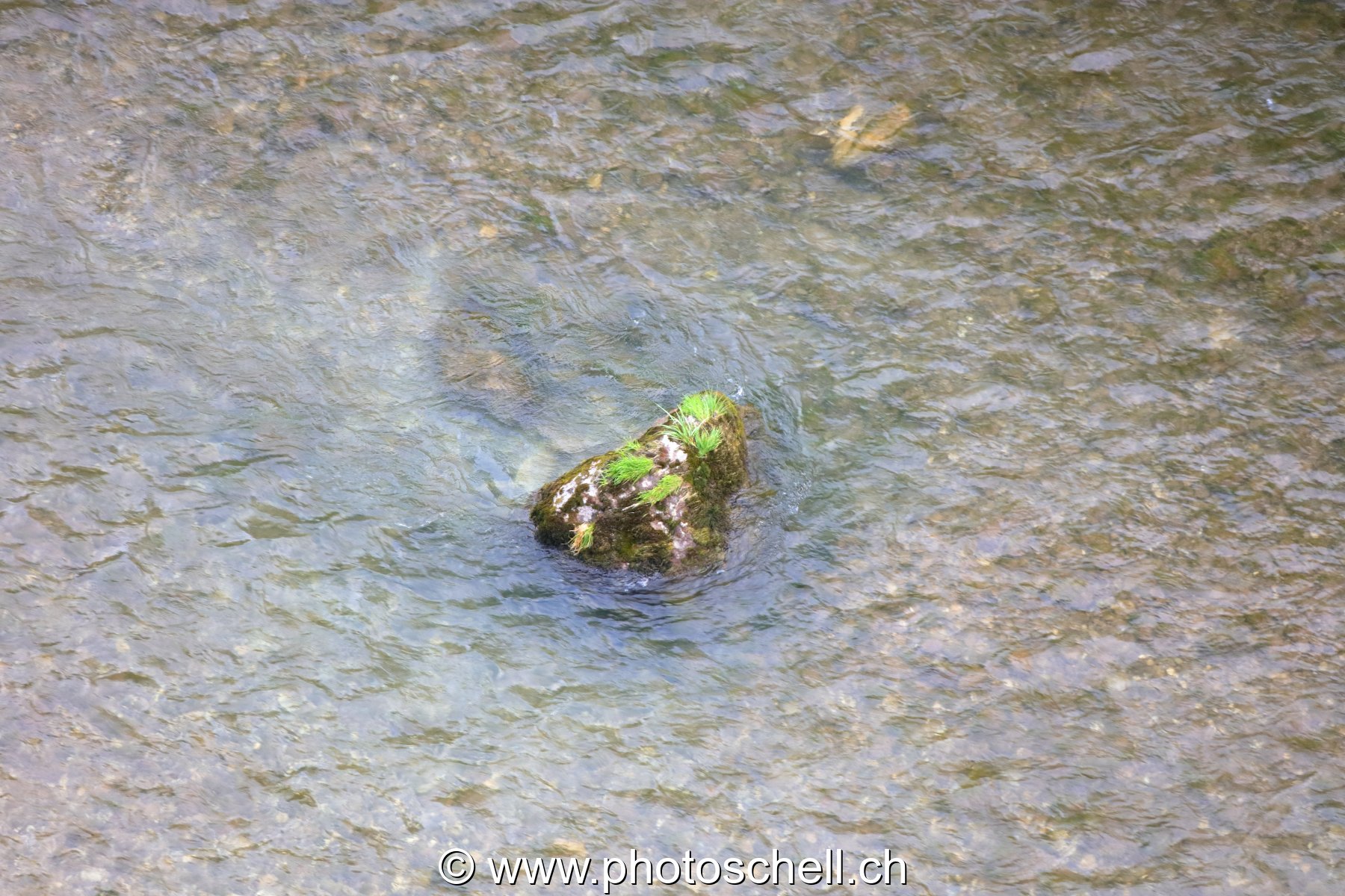 Rocher dans l'eau