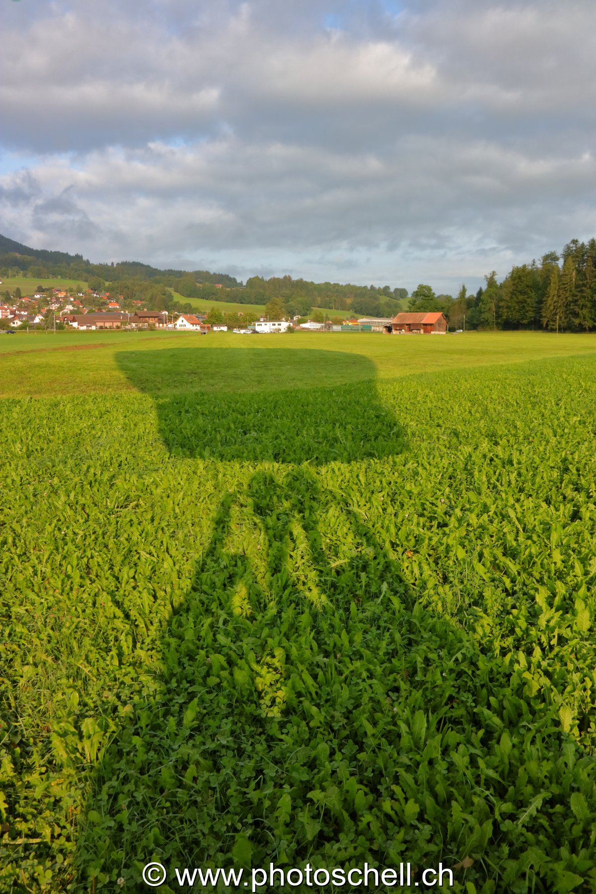 Ombre de la mongolfière