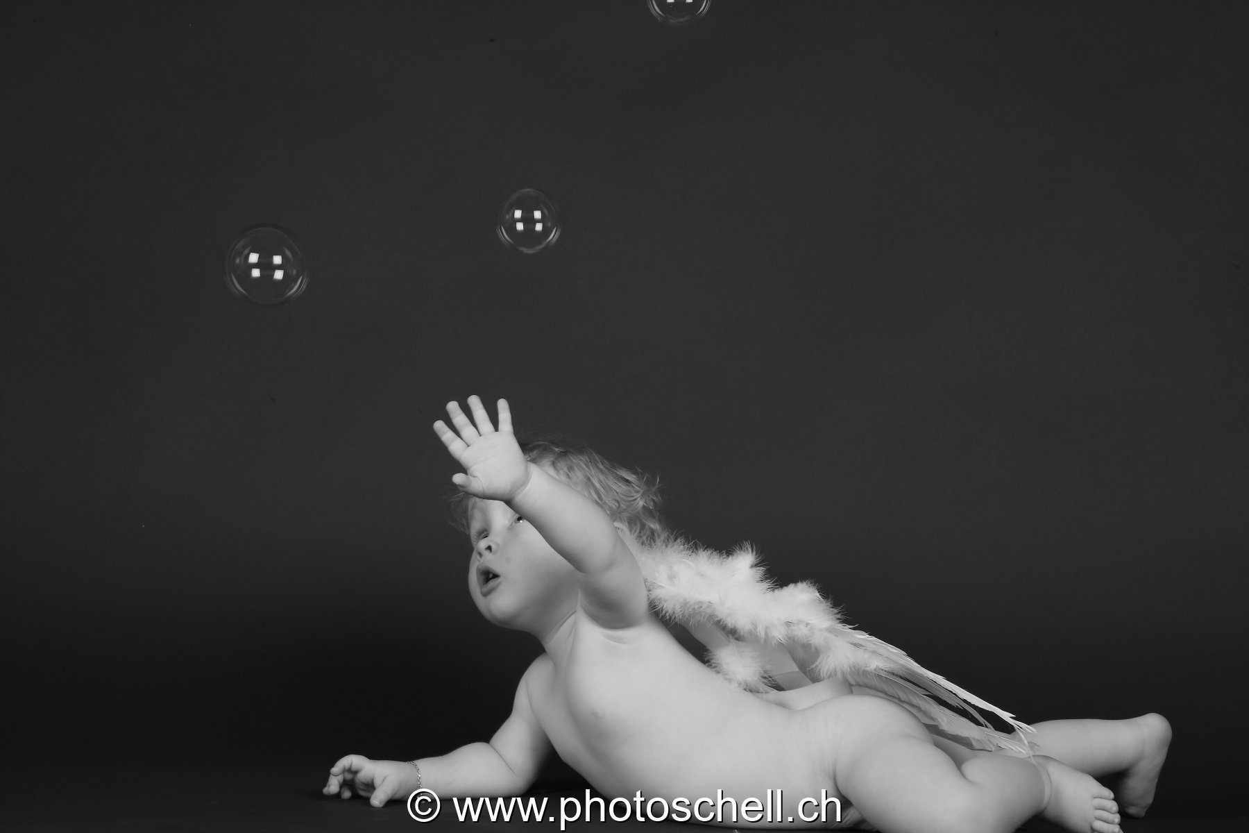 Photo 46