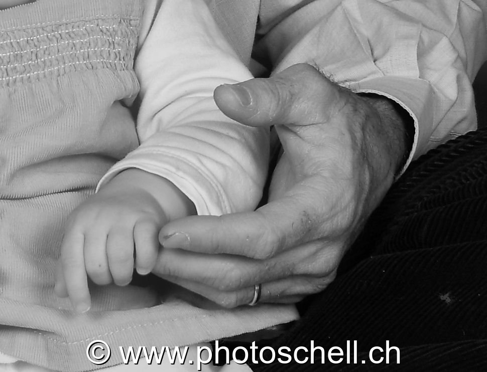 Photo 61