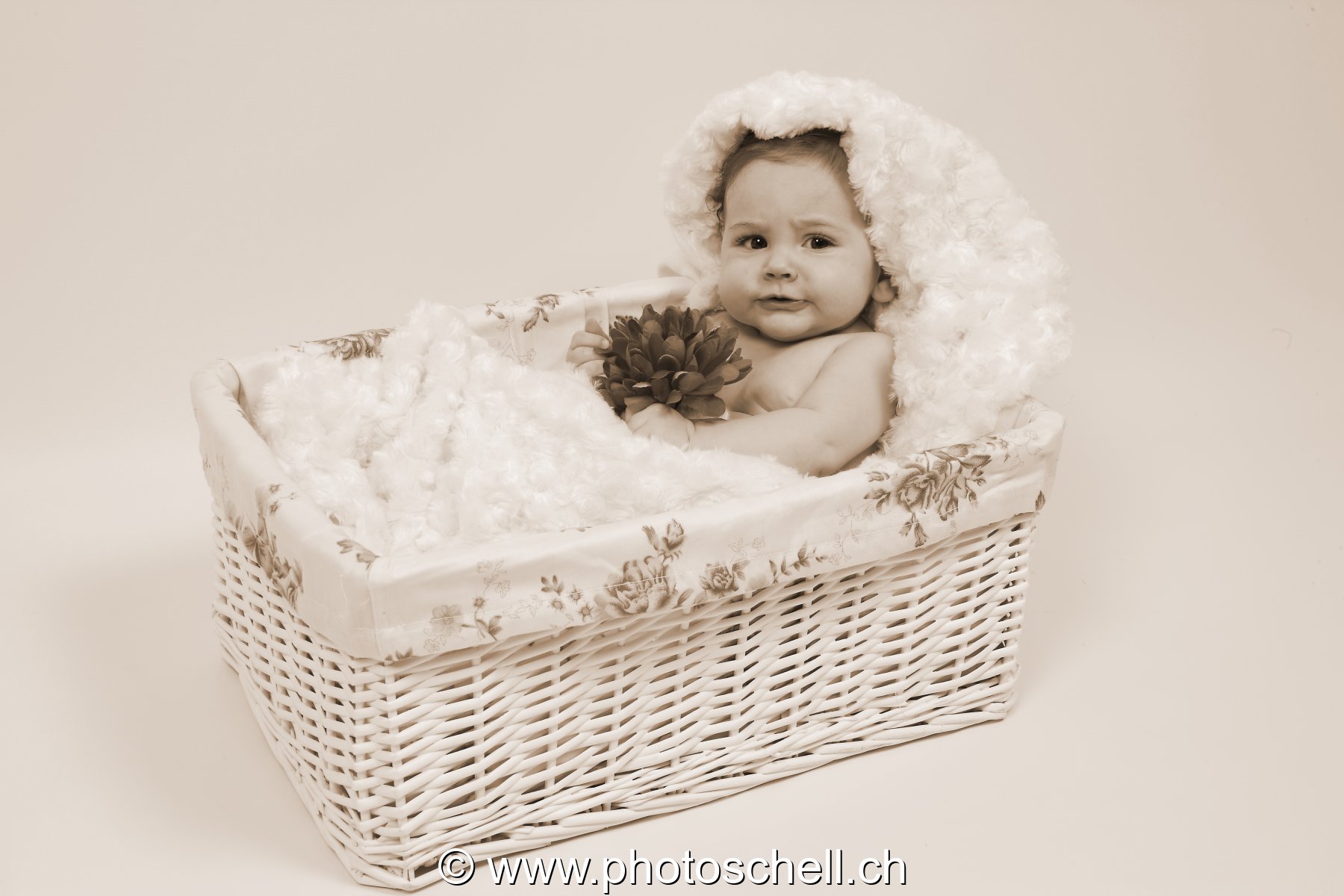 Bébé