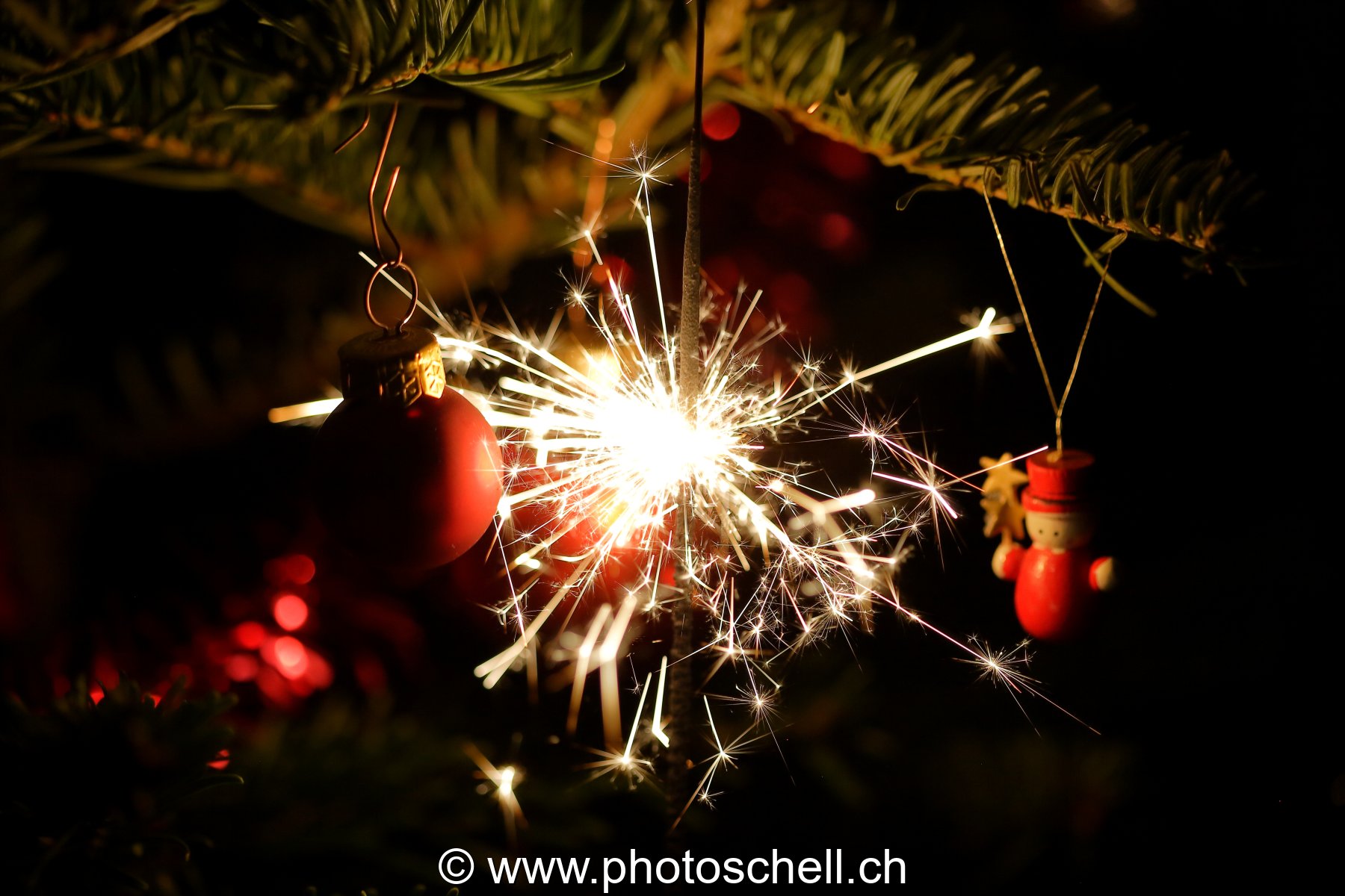 Photo 10