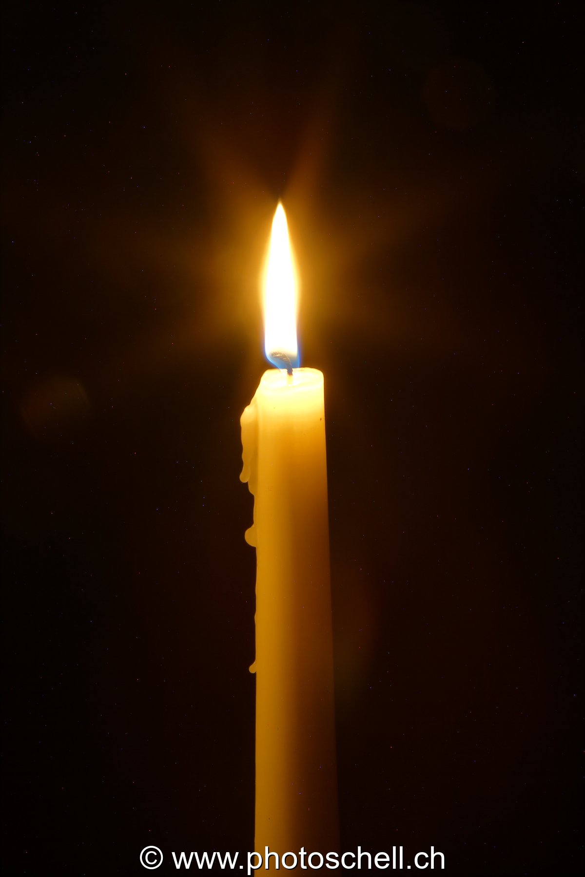 Lumières de Noël