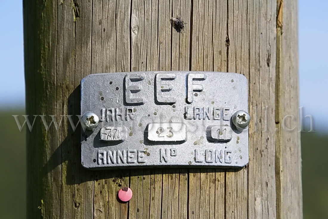 Plaque de poteau électrique en bois