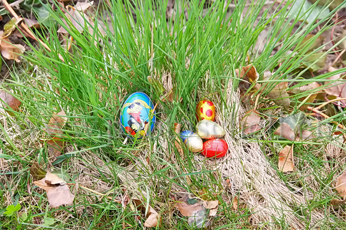 Oeufs de Pâques dans les l'herbe et les fleurs