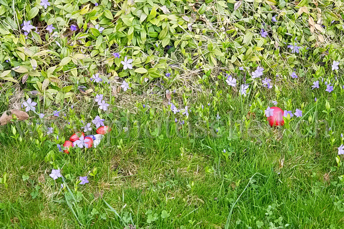 Oeufs de Pâques dans les l\'herbe et les fleurs
