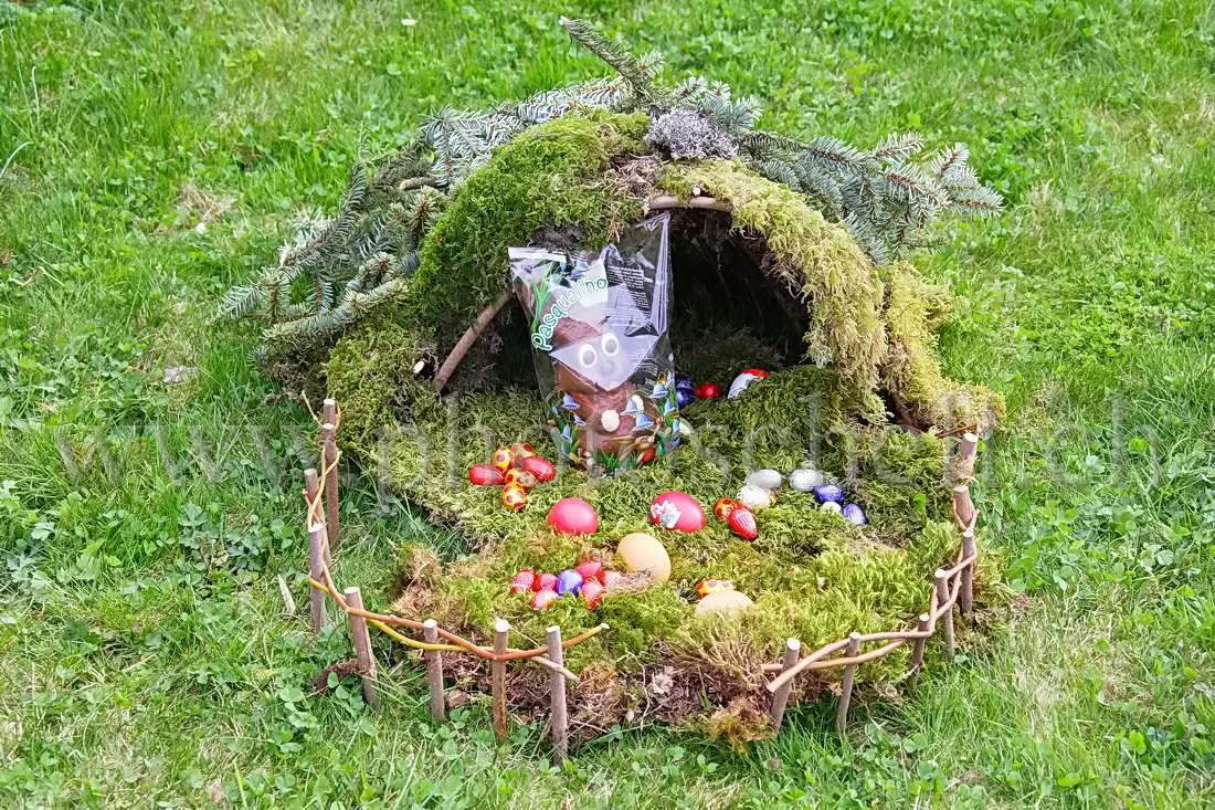 Oeufs de Pâques dans les l\'herbe et les fleurs