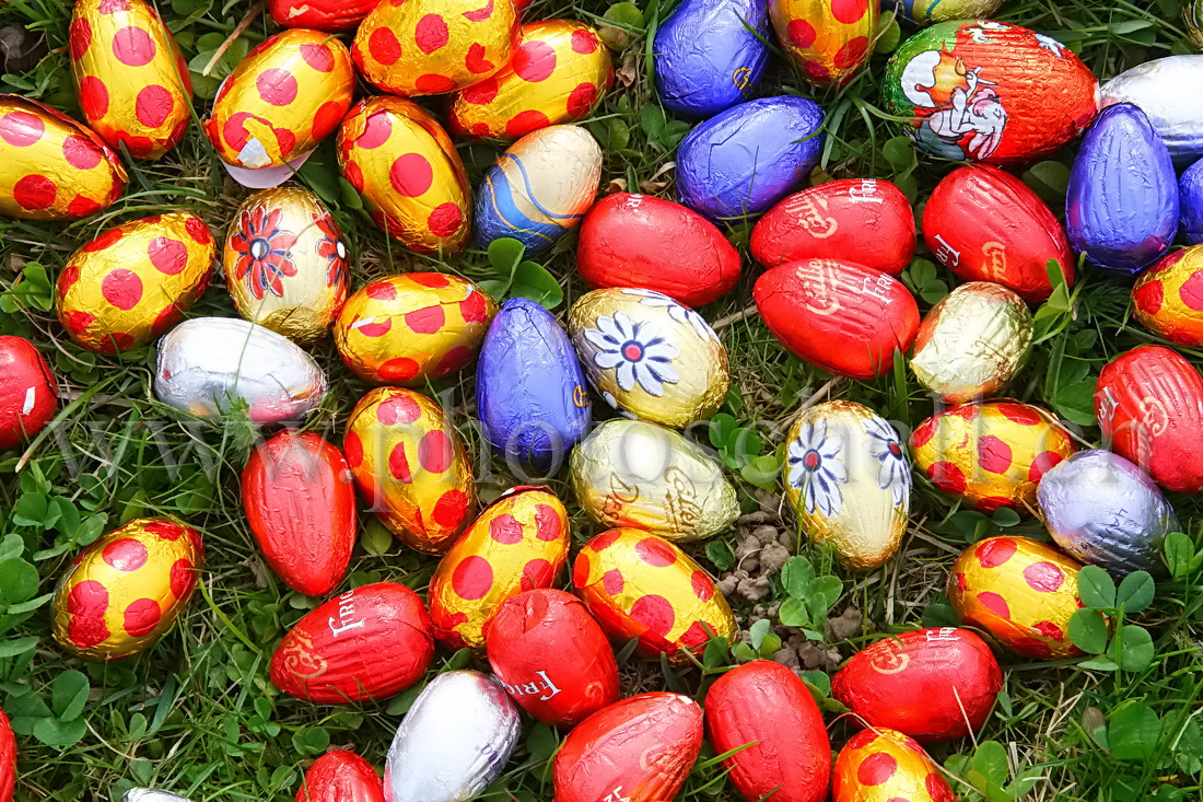 Oeufs de Pâques dans les l\'herbe et les fleurs