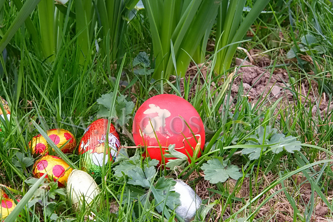 Oeufs de Pâques dans les l\'herbe et les fleurs