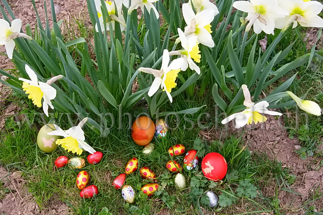 Oeufs de Pâques dans les l'herbe et les fleurs