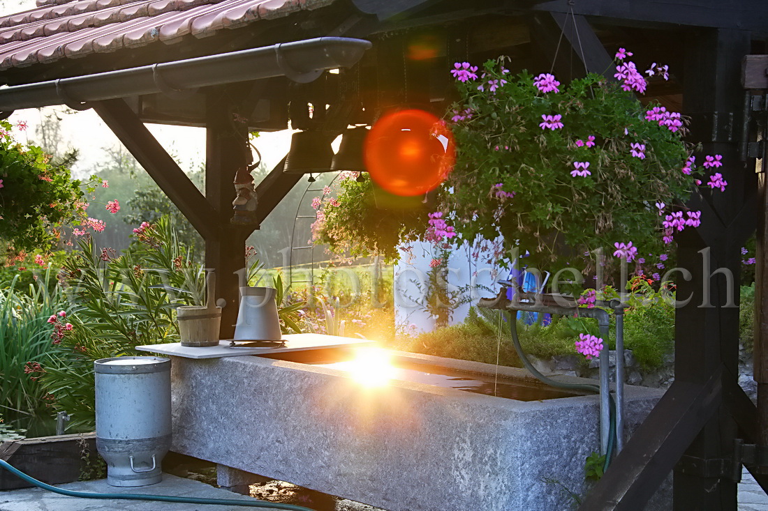 Soleil dans la fontaine