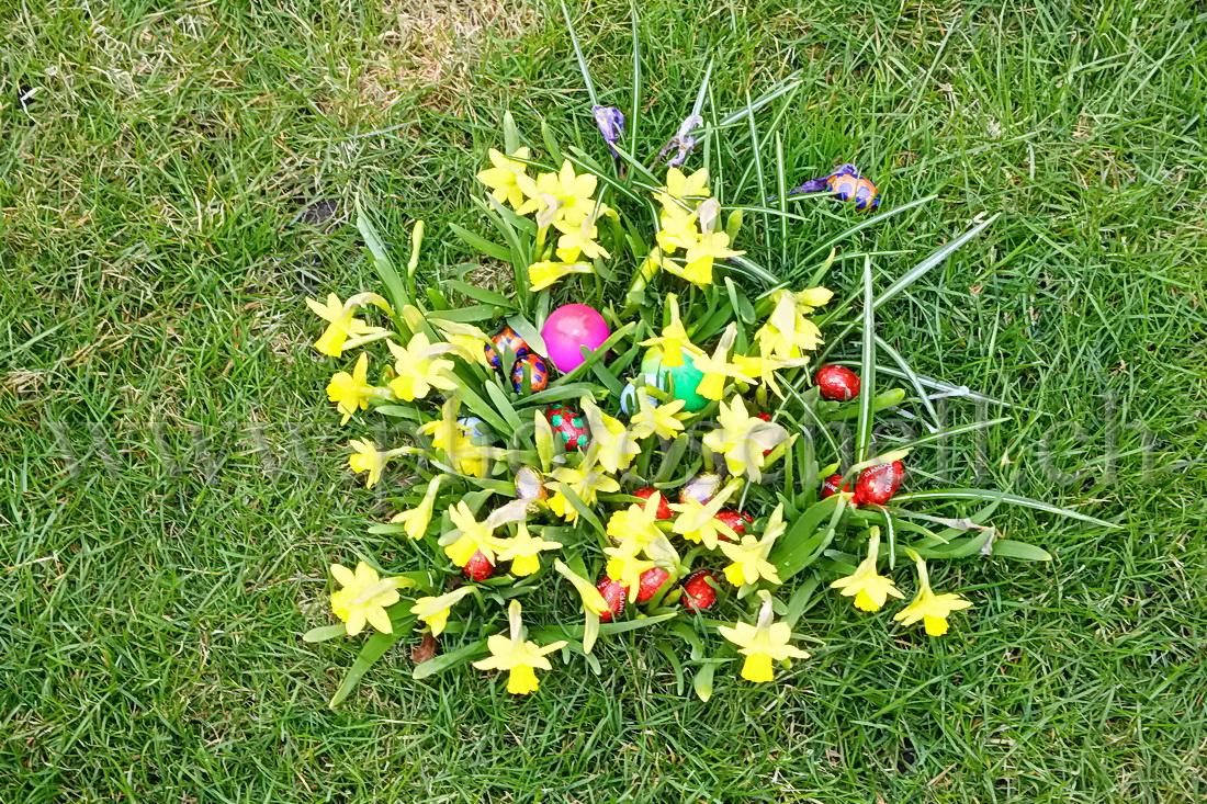 Oeufs déposés par le lapin de pâques