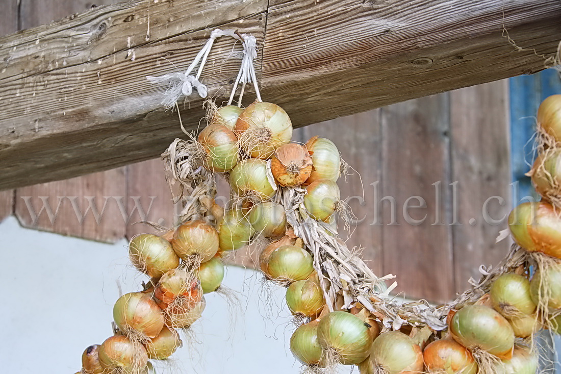 Ancien radiateur