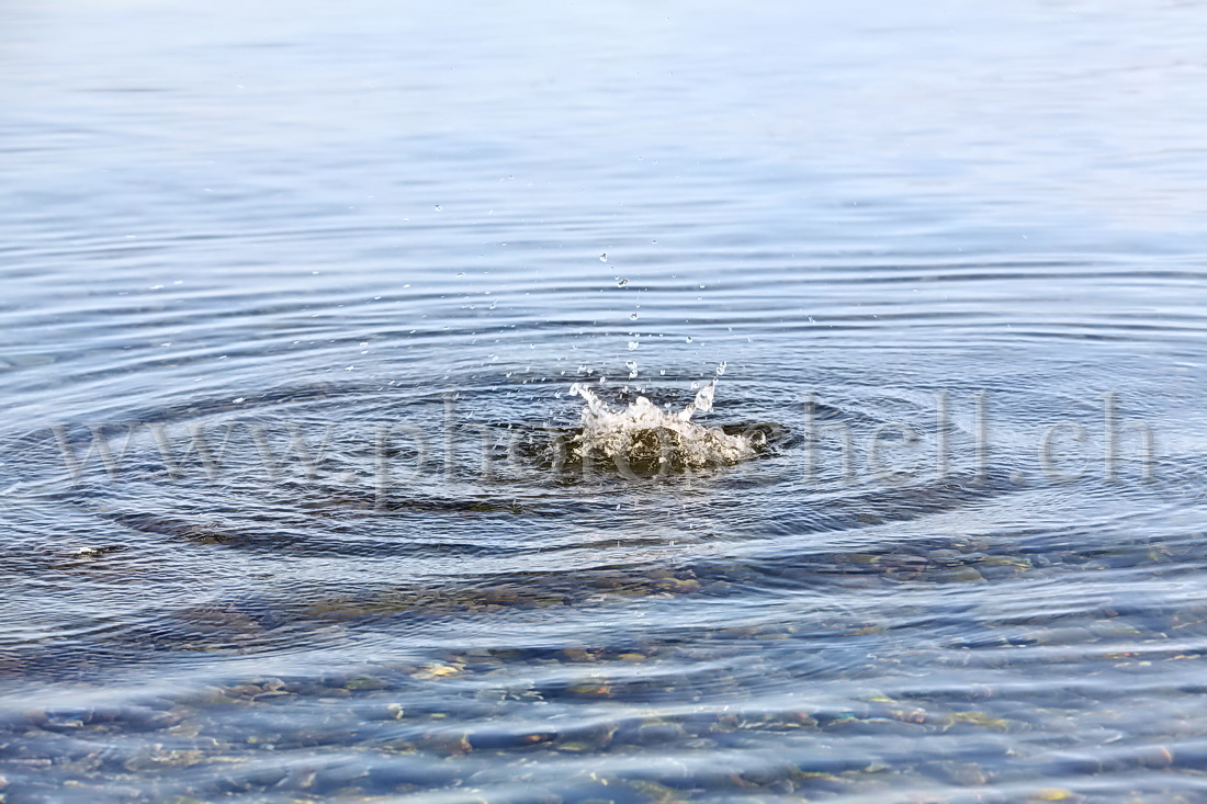 Impact de caillou dans l'eau