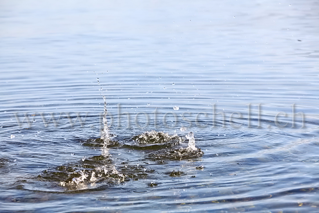 Impact de caillou dans l'eau