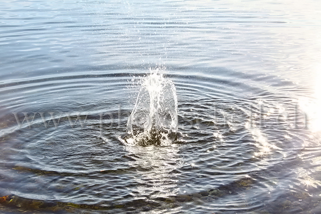 Cailloux dans l'eau