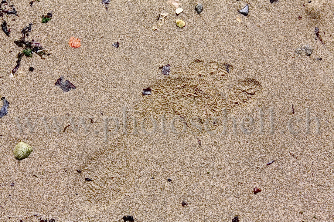 Empreinte de pied dans le sable