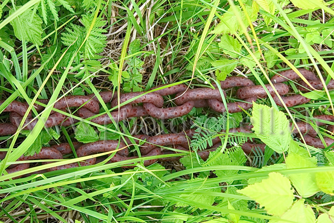 Chaînes dans l'herbe