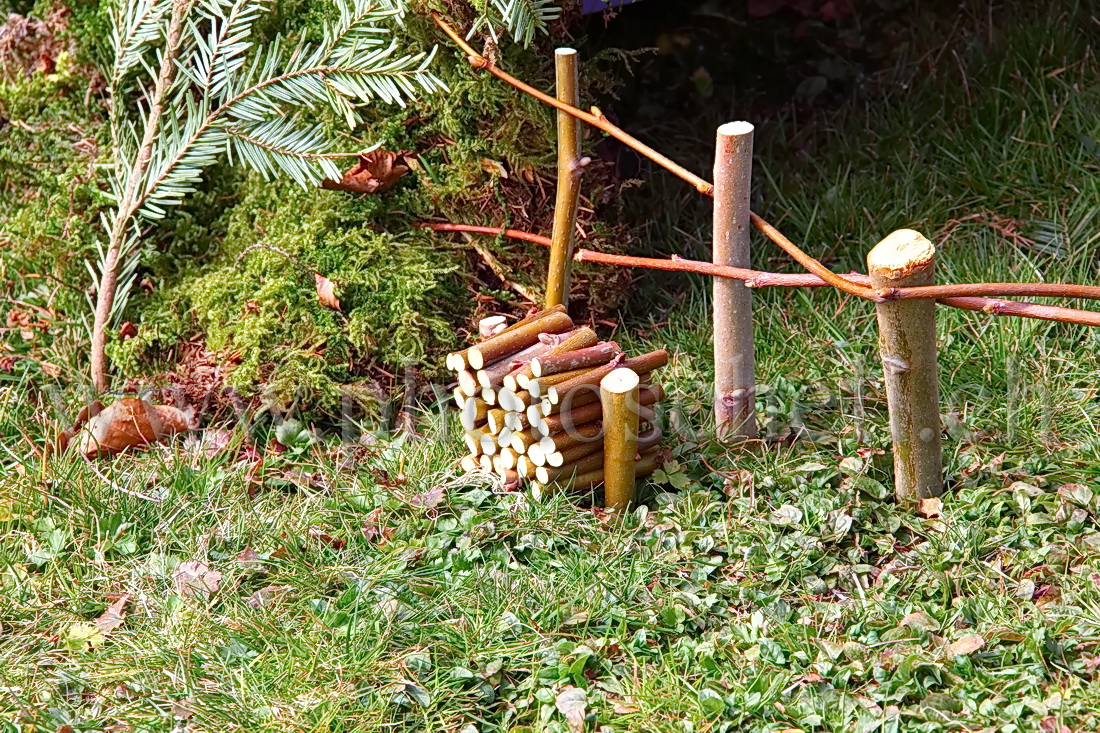 Tas de bois près du nid du lapin de Pâques