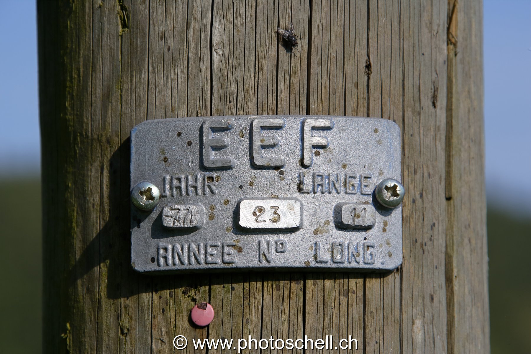 Photo 22