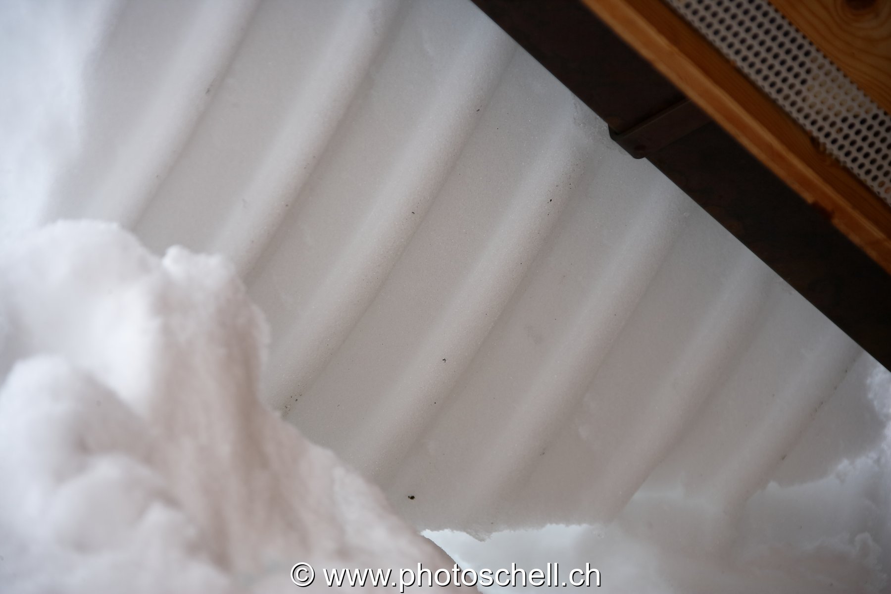 Empreintes de tuiles sur la neige