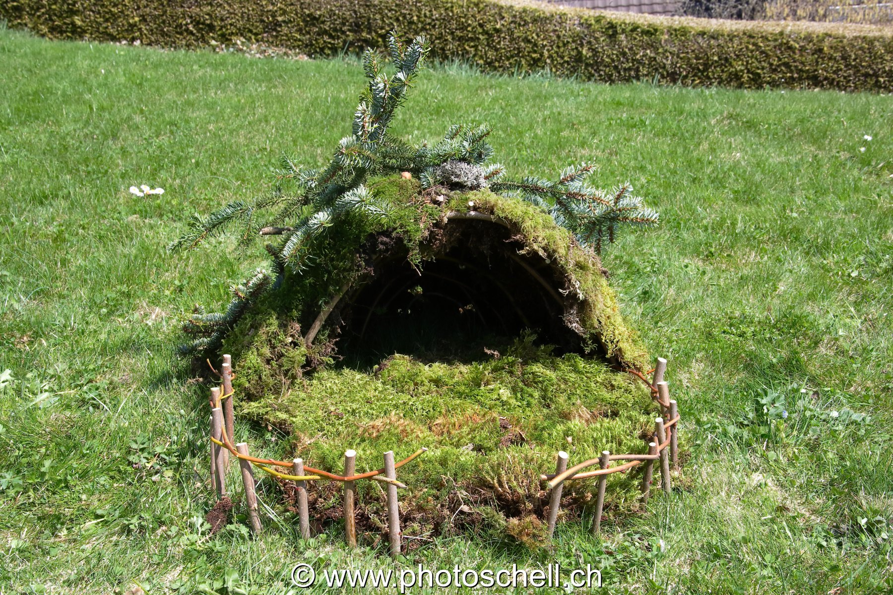 Photo 31