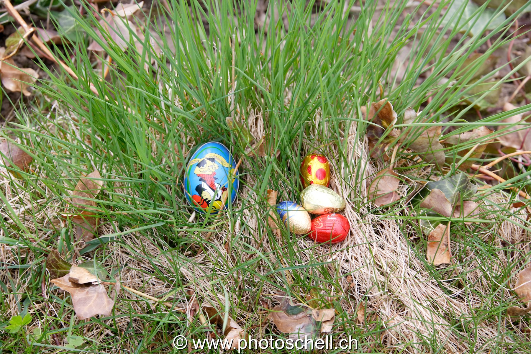 Photo 35