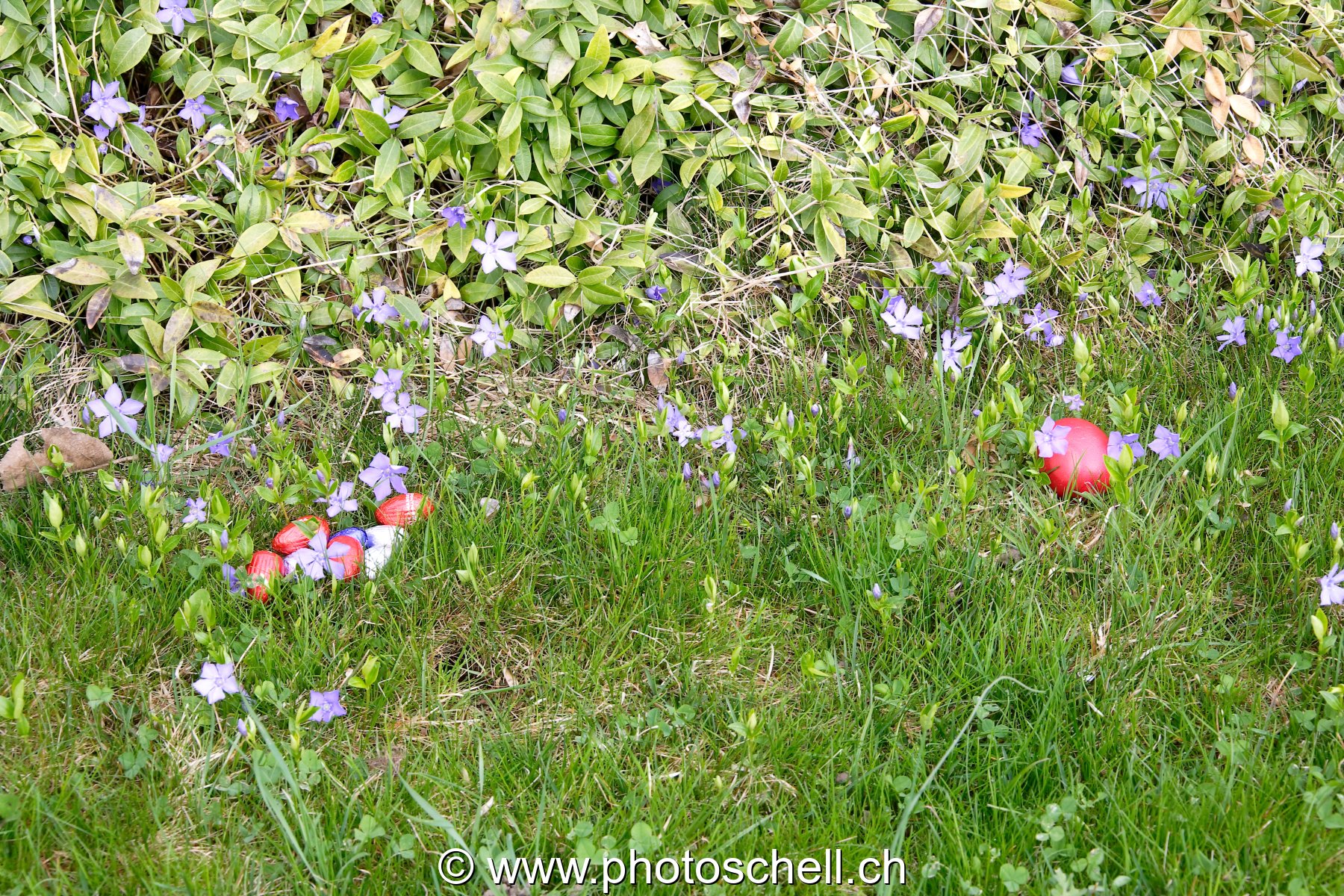 Photo 36