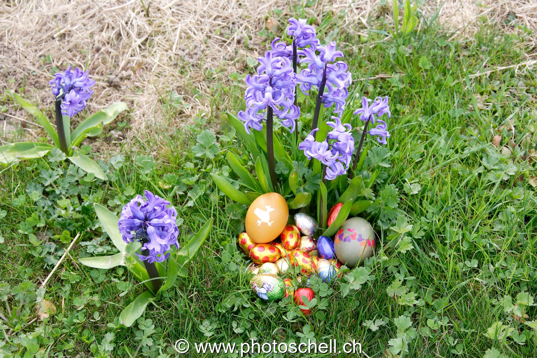 Oeufs de Pâques dans les l'herbe et les fleurs