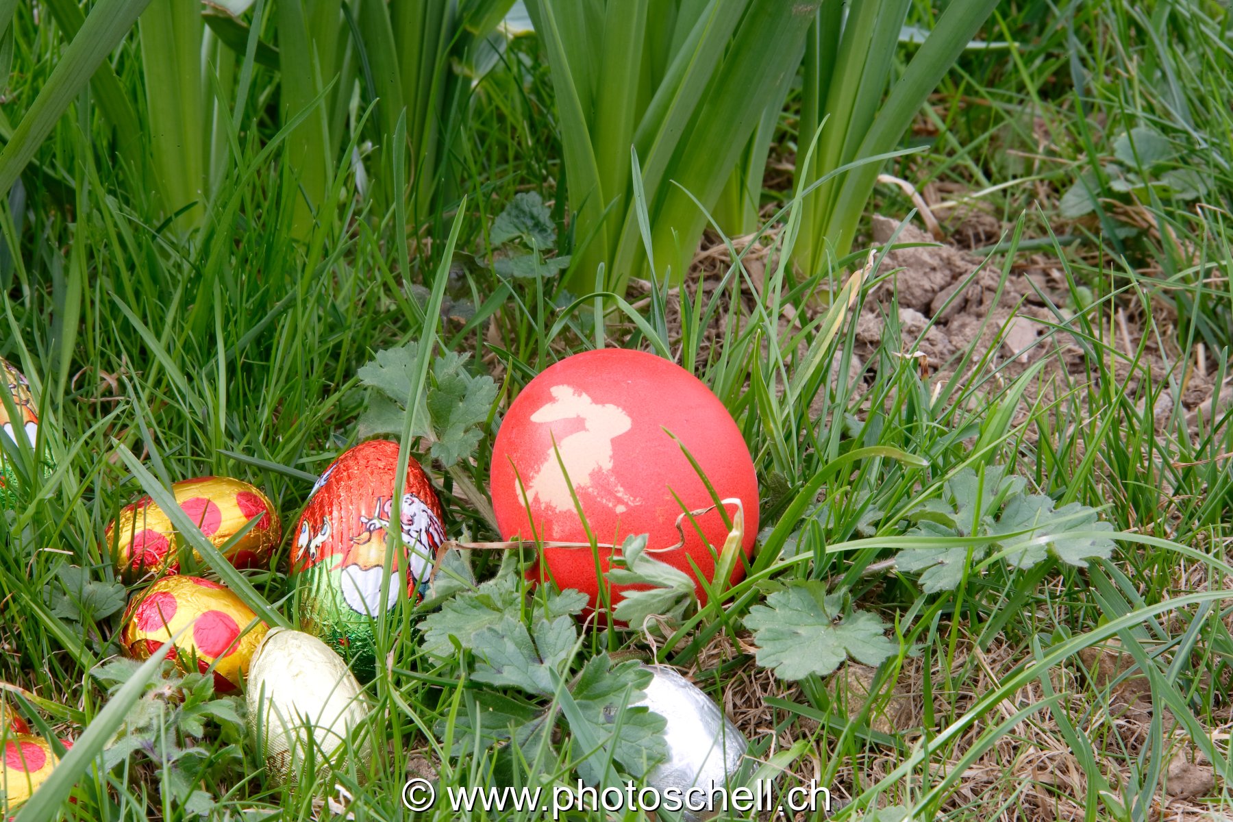 Photo 44