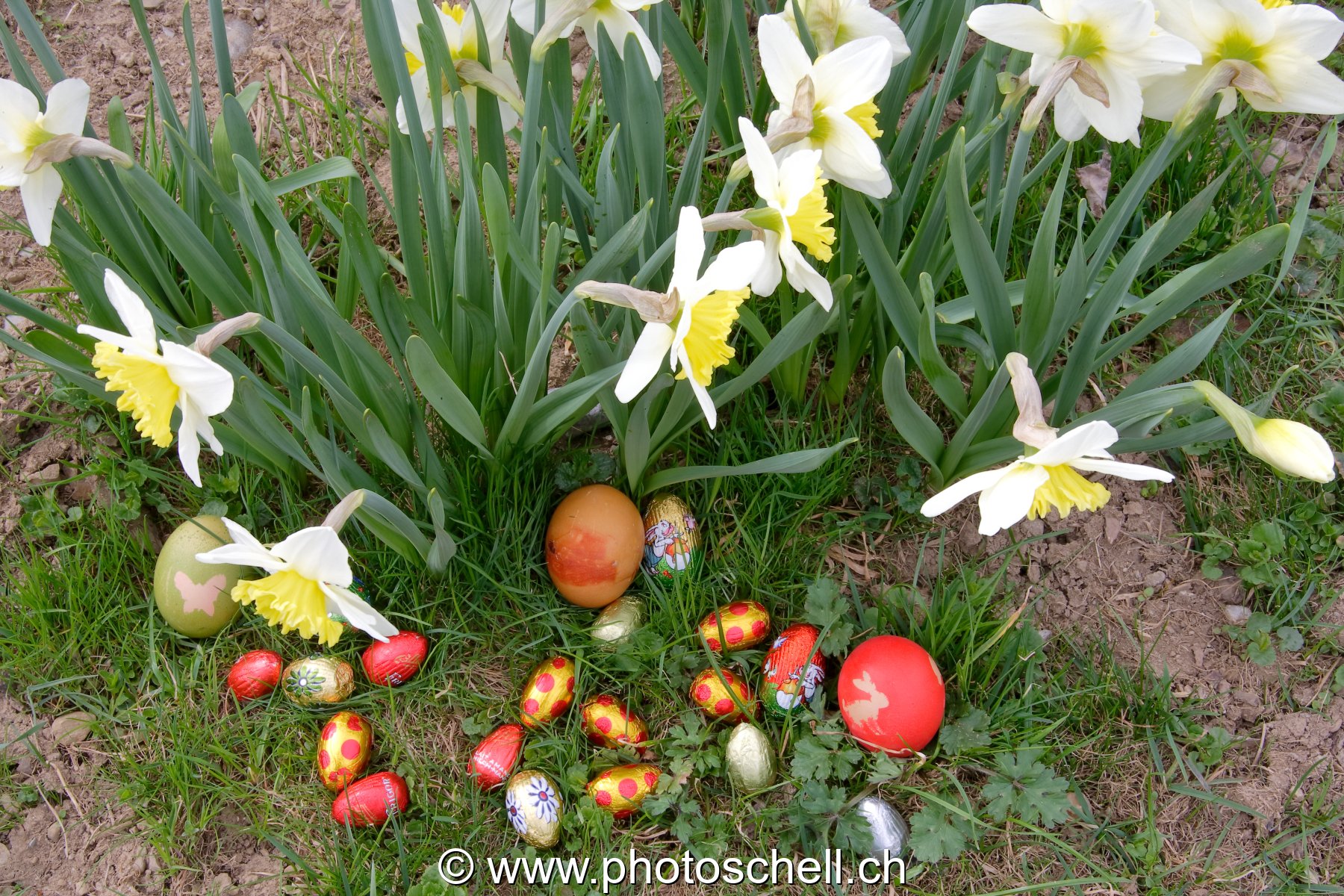 Oeufs de Pâques dans les l'herbe et les fleurs