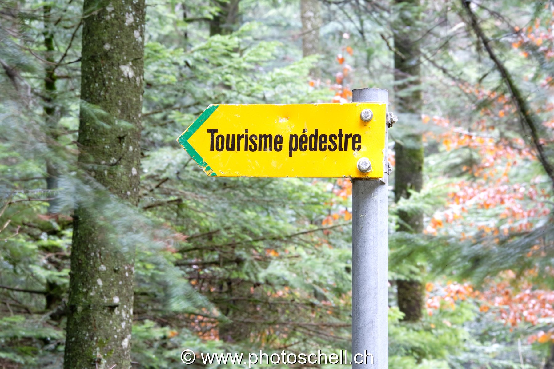 Touriste pédestre