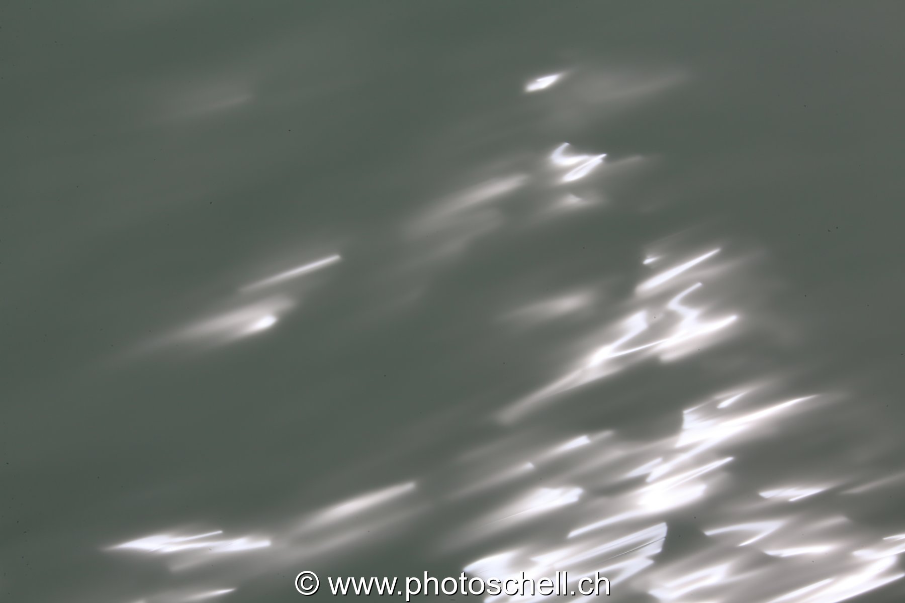 Photo 198