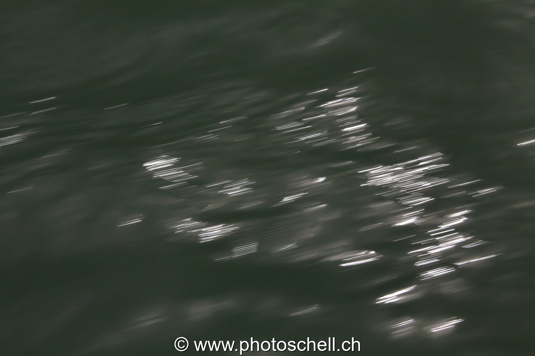 Photo 200