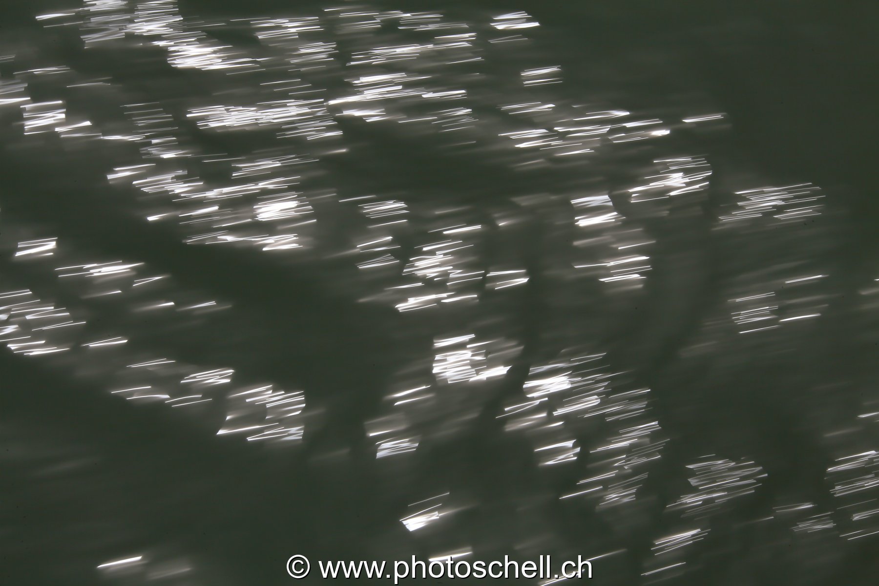 Reflets dans l'eau