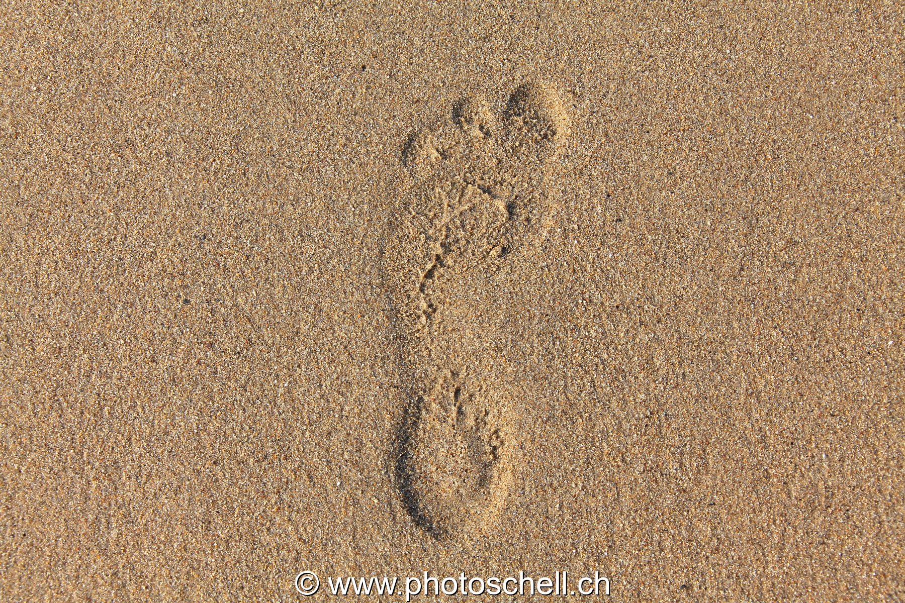 Trace de pas dans le sable
