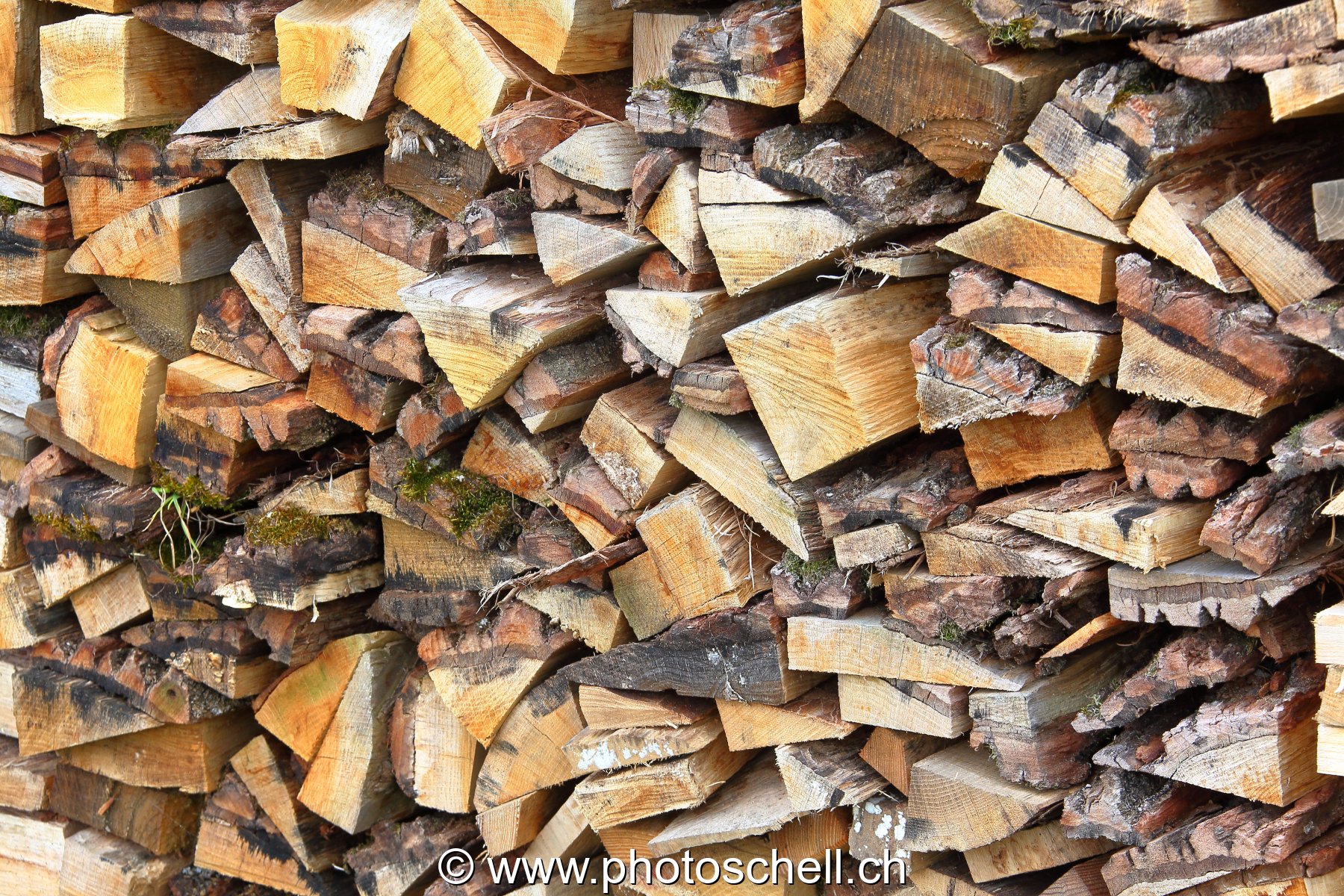 Tas de bois