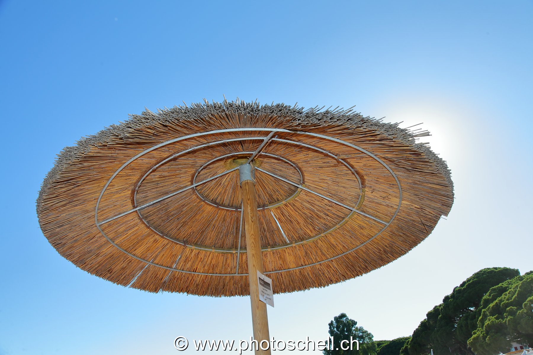 Parasol