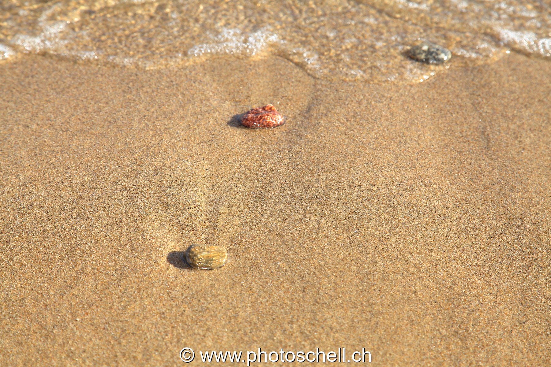 Plage et son coquillage