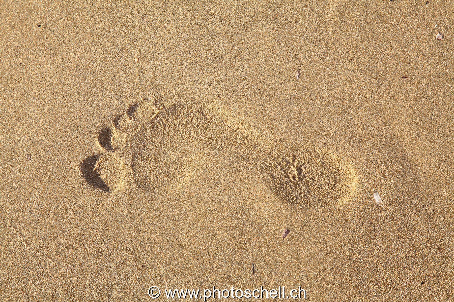 Empreinte de pas dans le sable