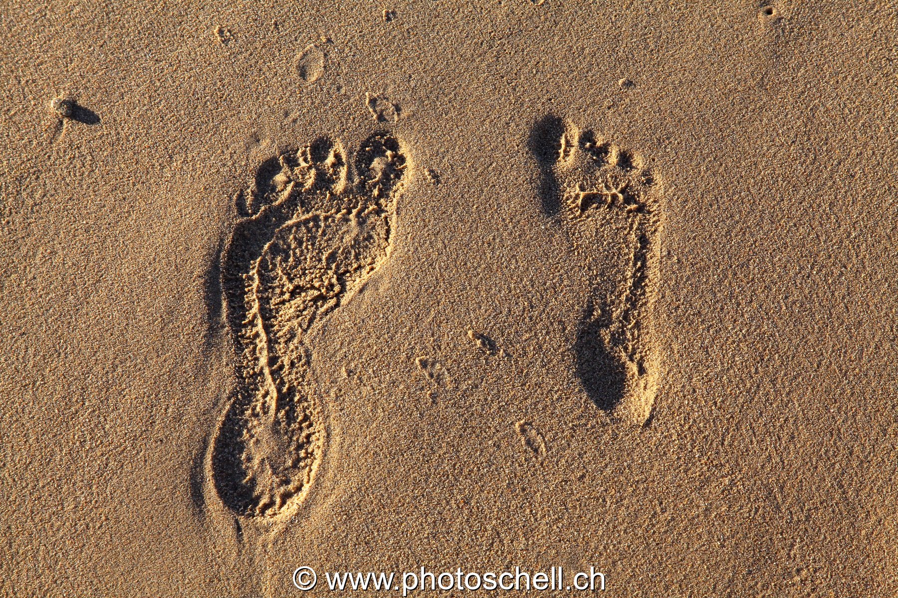 Empreintes de pas dans le sable