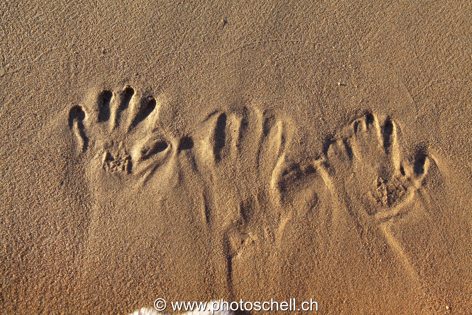 Empreintes de mains dans le sable