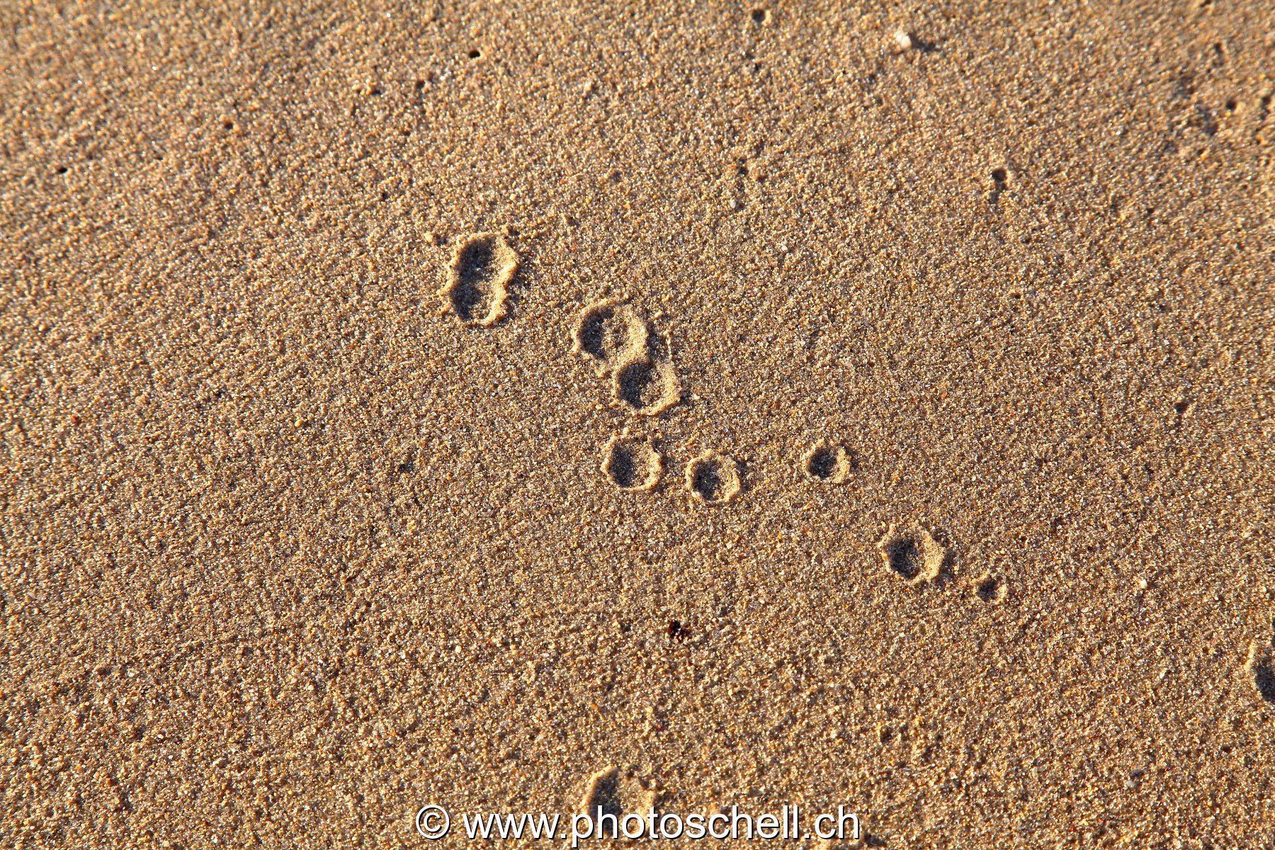 Impact de gouttes d'eau sur le sable