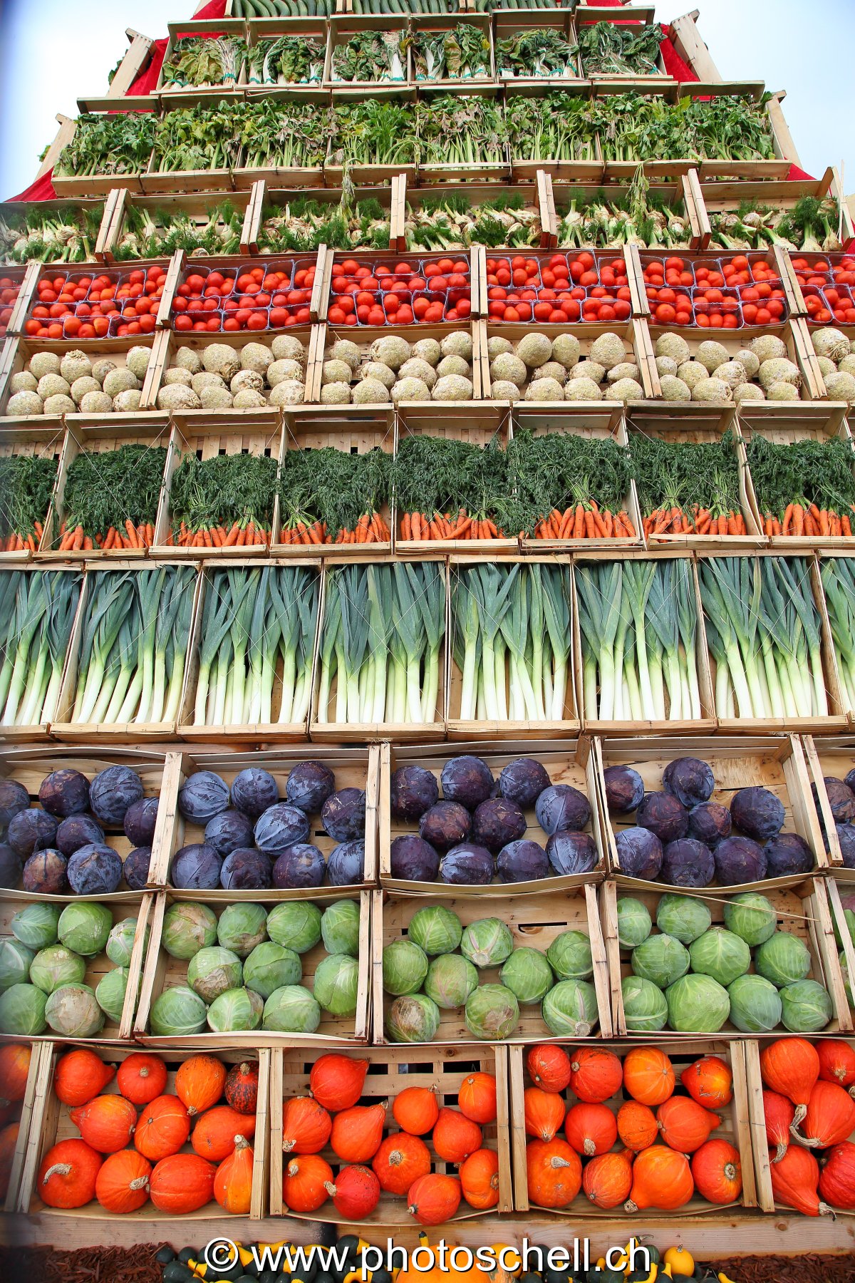 Exposition de légumes et festival de couleurs