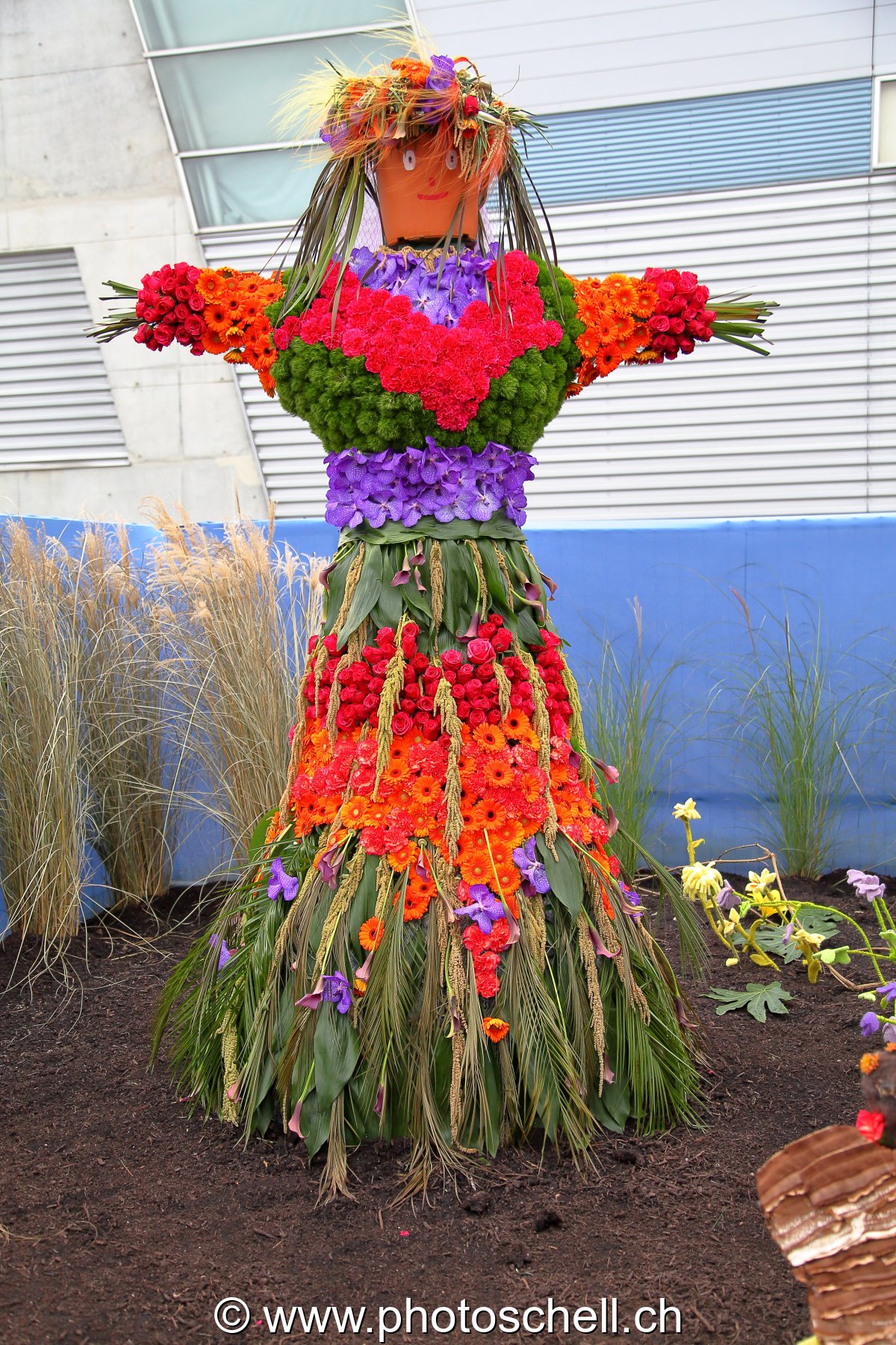 Exposition de légumes et festival de couleurs