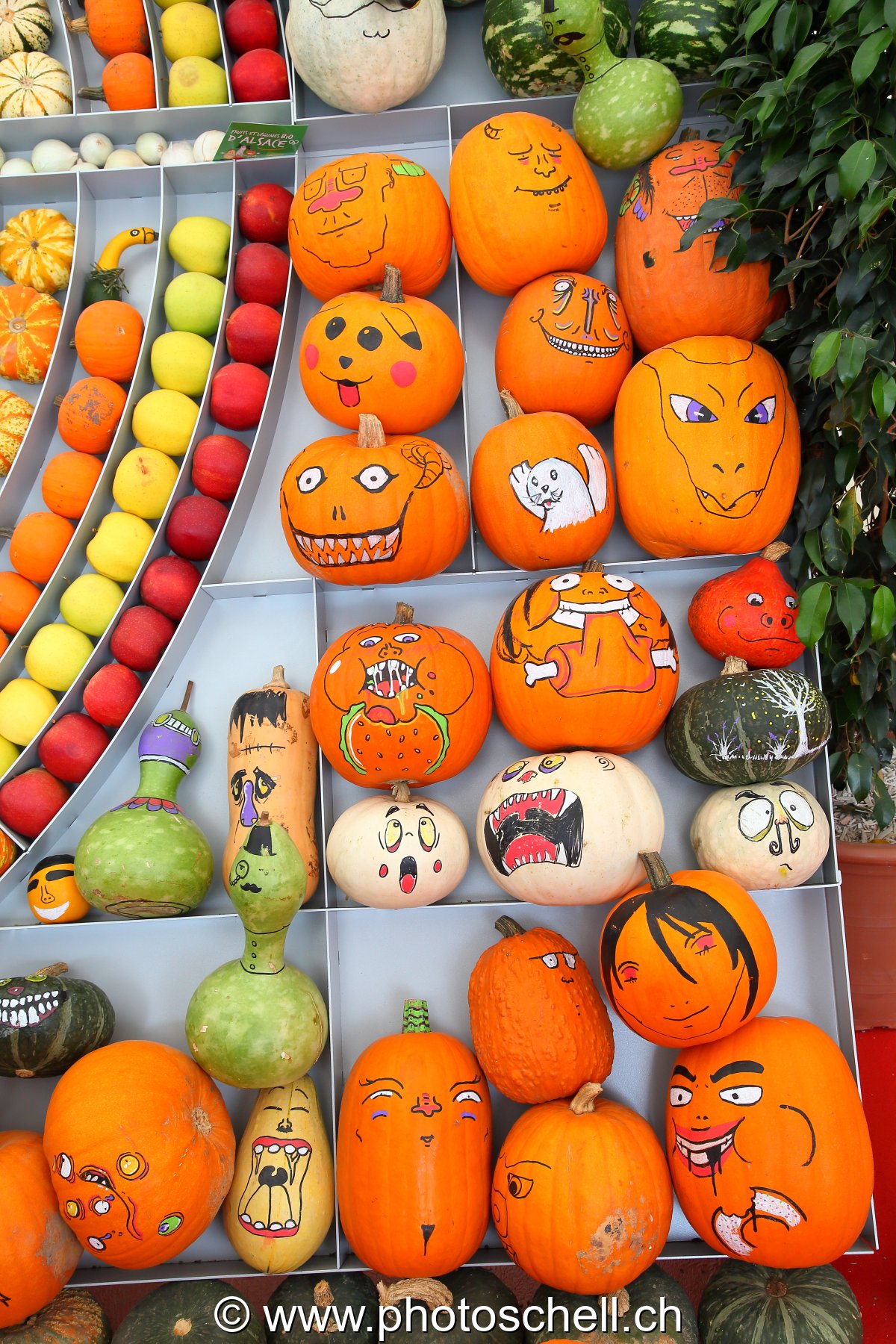 Courges taillées