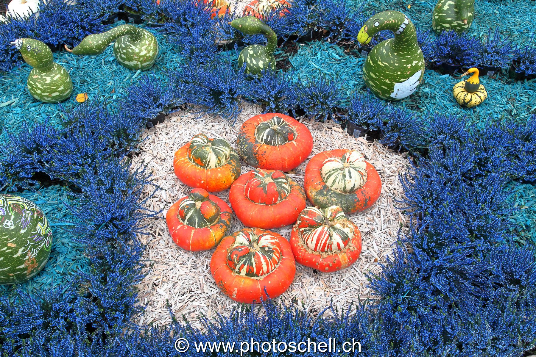 Courges taillées