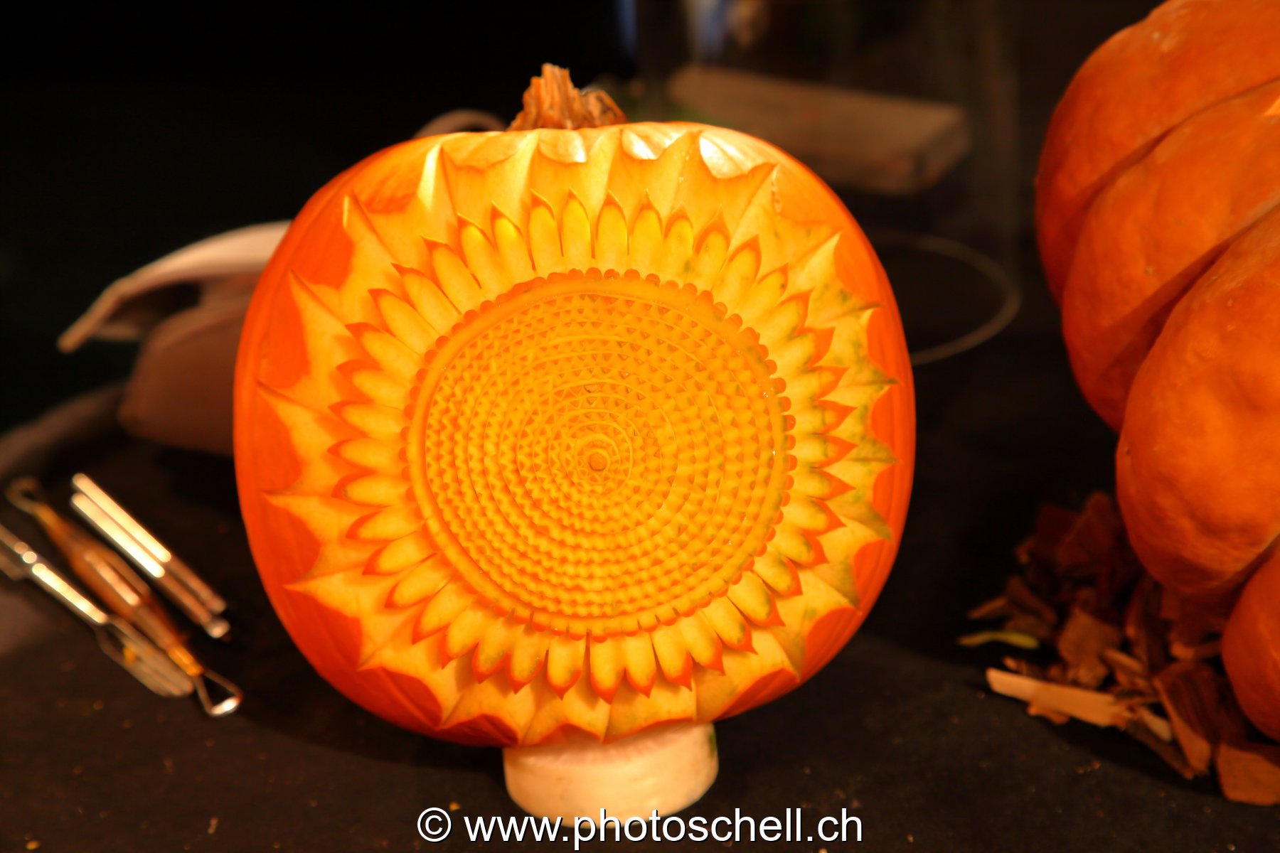 Courges taillées