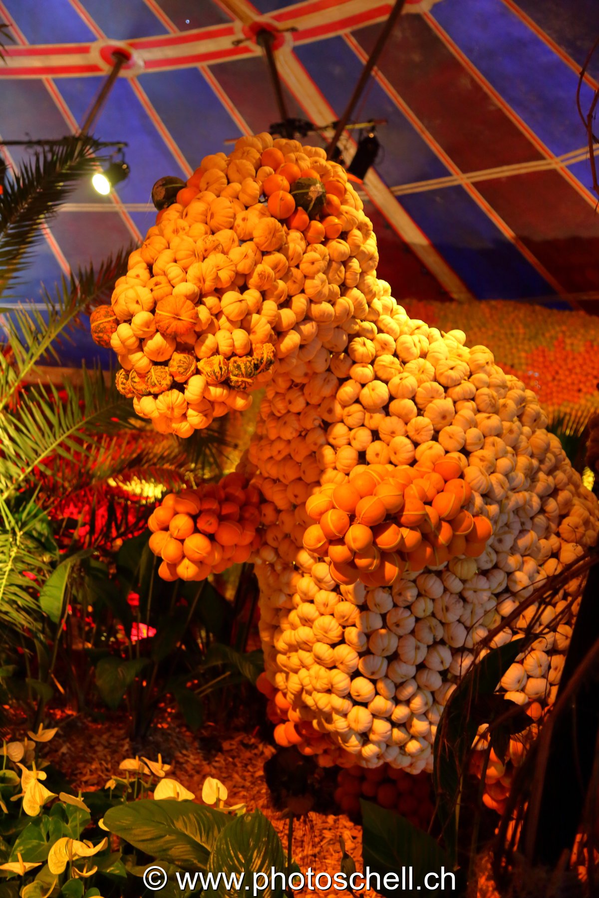 Dinausaure en fruits