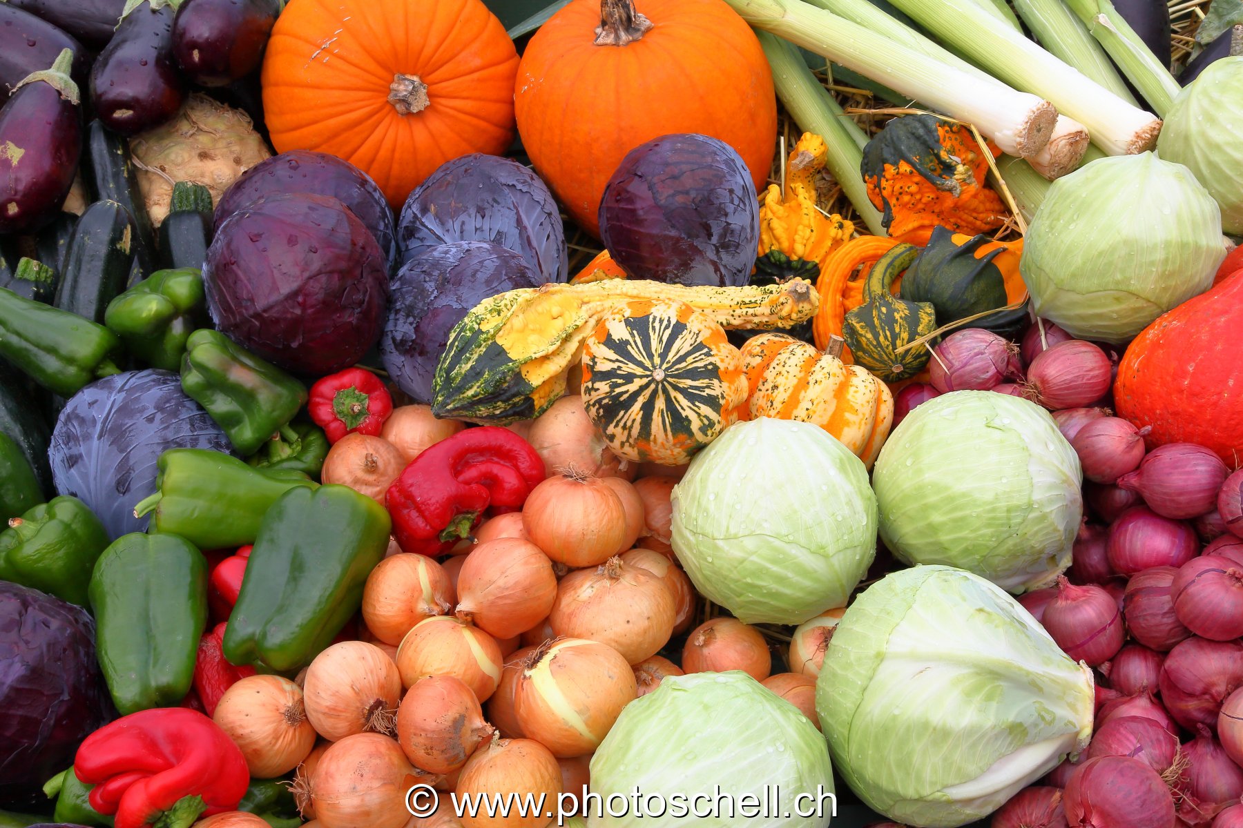 Courges, choux, oignong et autres légumes